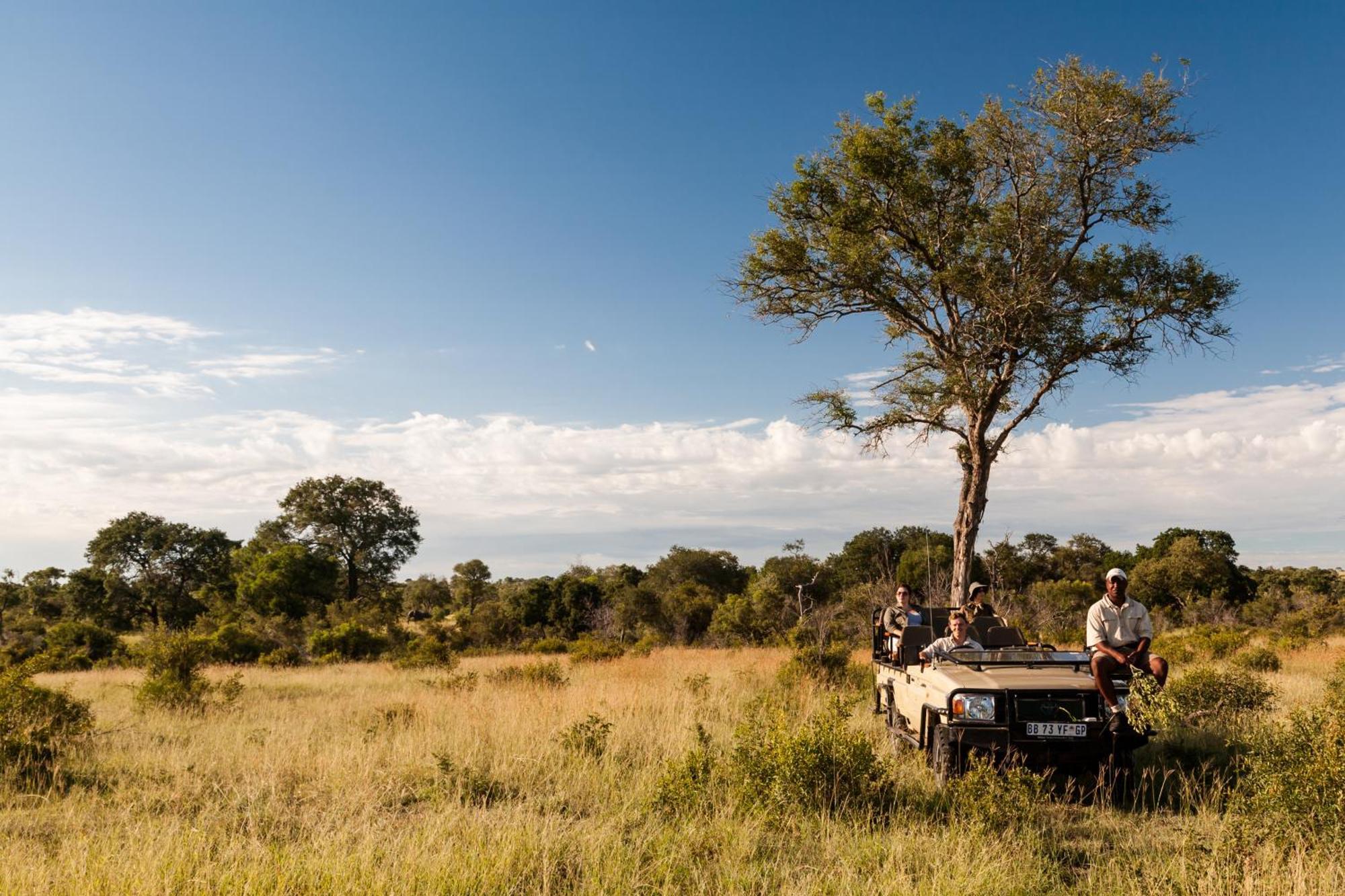 Tintswalo Safari Villa Manyeleti Game Reserve Exterior photo