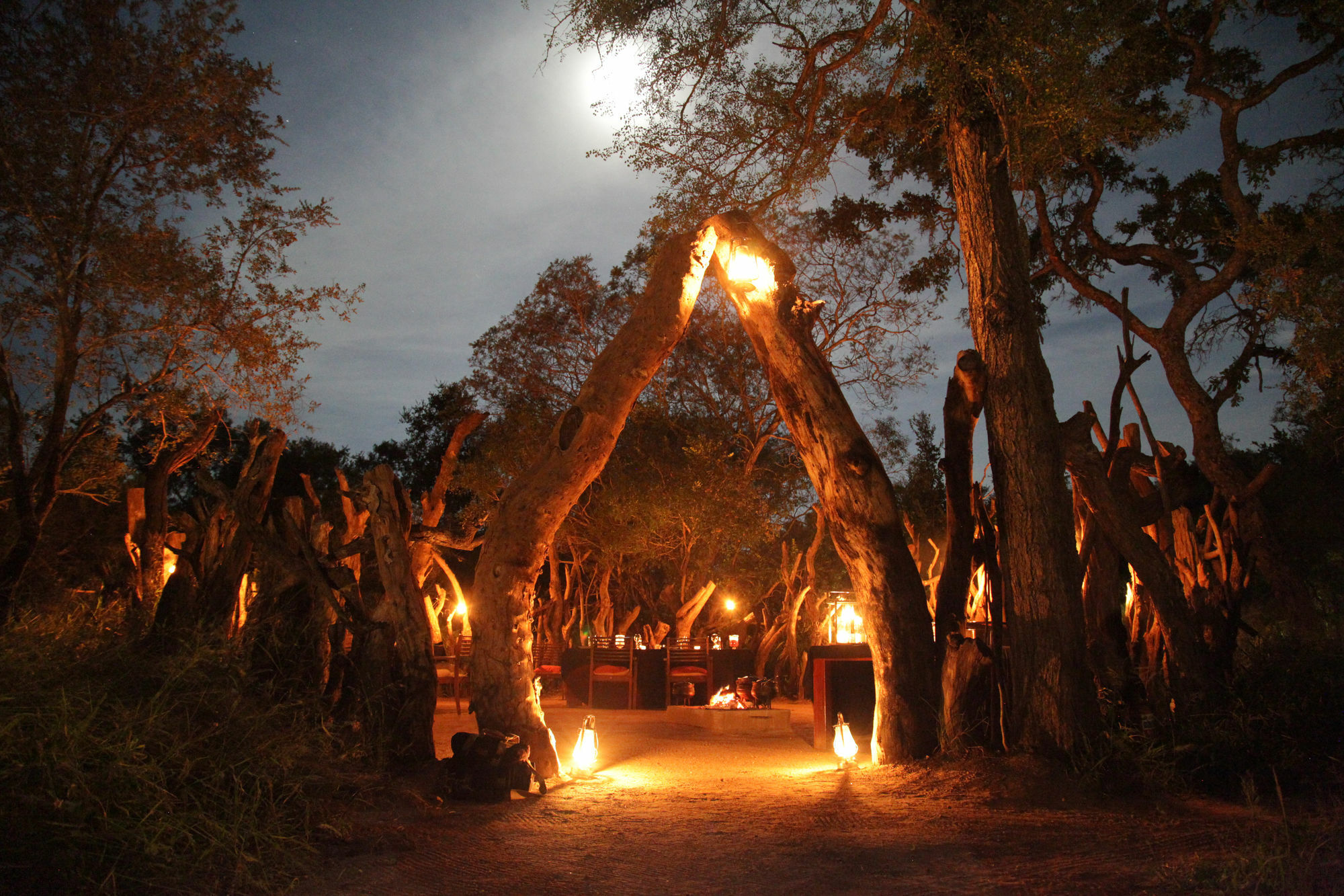 Tintswalo Safari Villa Manyeleti Game Reserve Exterior photo